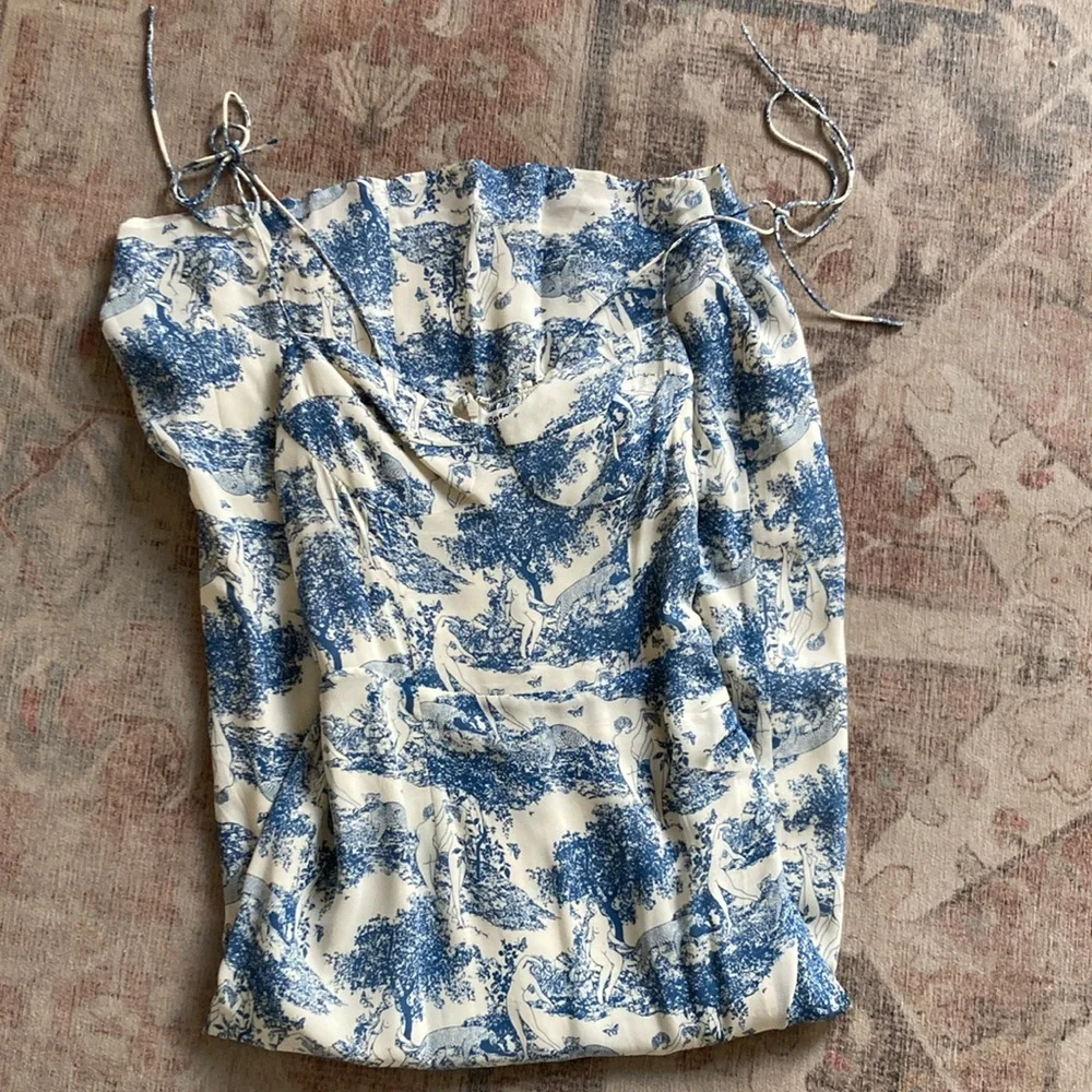 Reformation Blue and White Toile Slip Dress